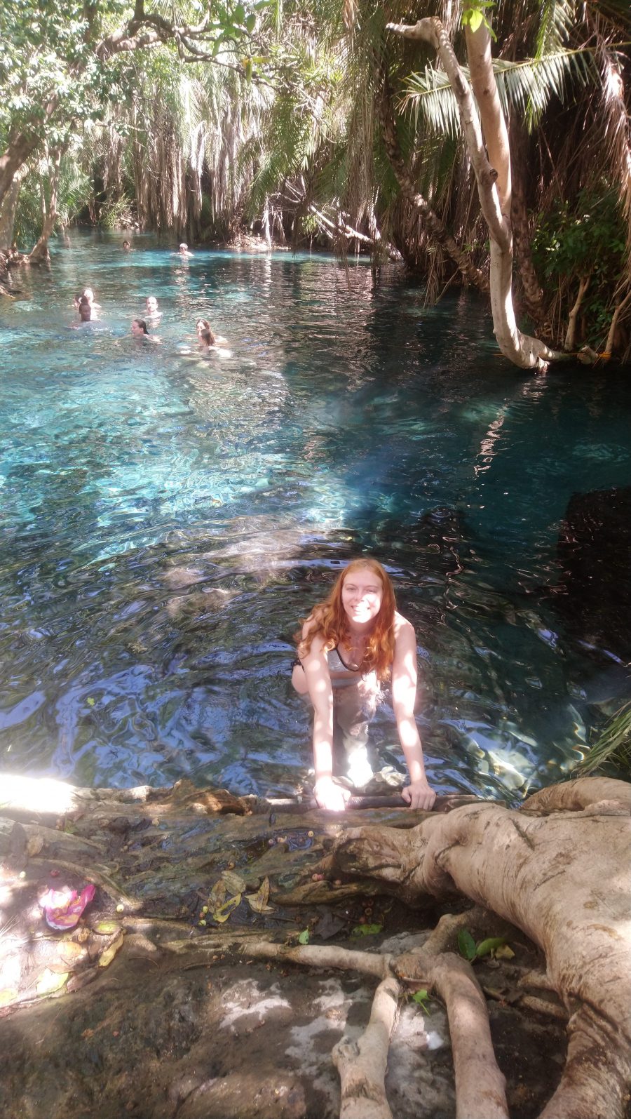 Getting to Kikuletwa hotsprings