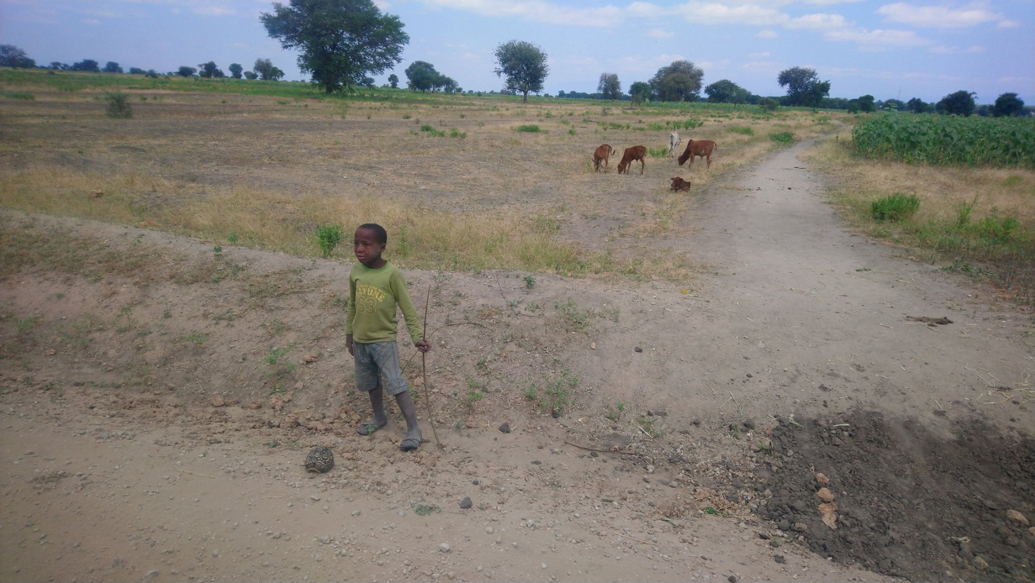 Massai land
